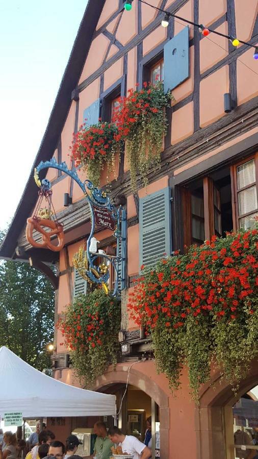 Fleur De Vigne Apartment Eguisheim Exterior photo