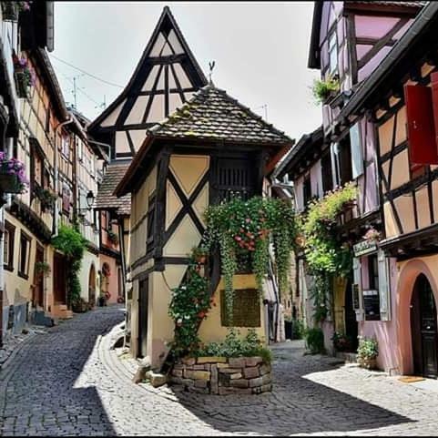 Fleur De Vigne Apartment Eguisheim Exterior photo